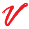 Vizimoo Logo